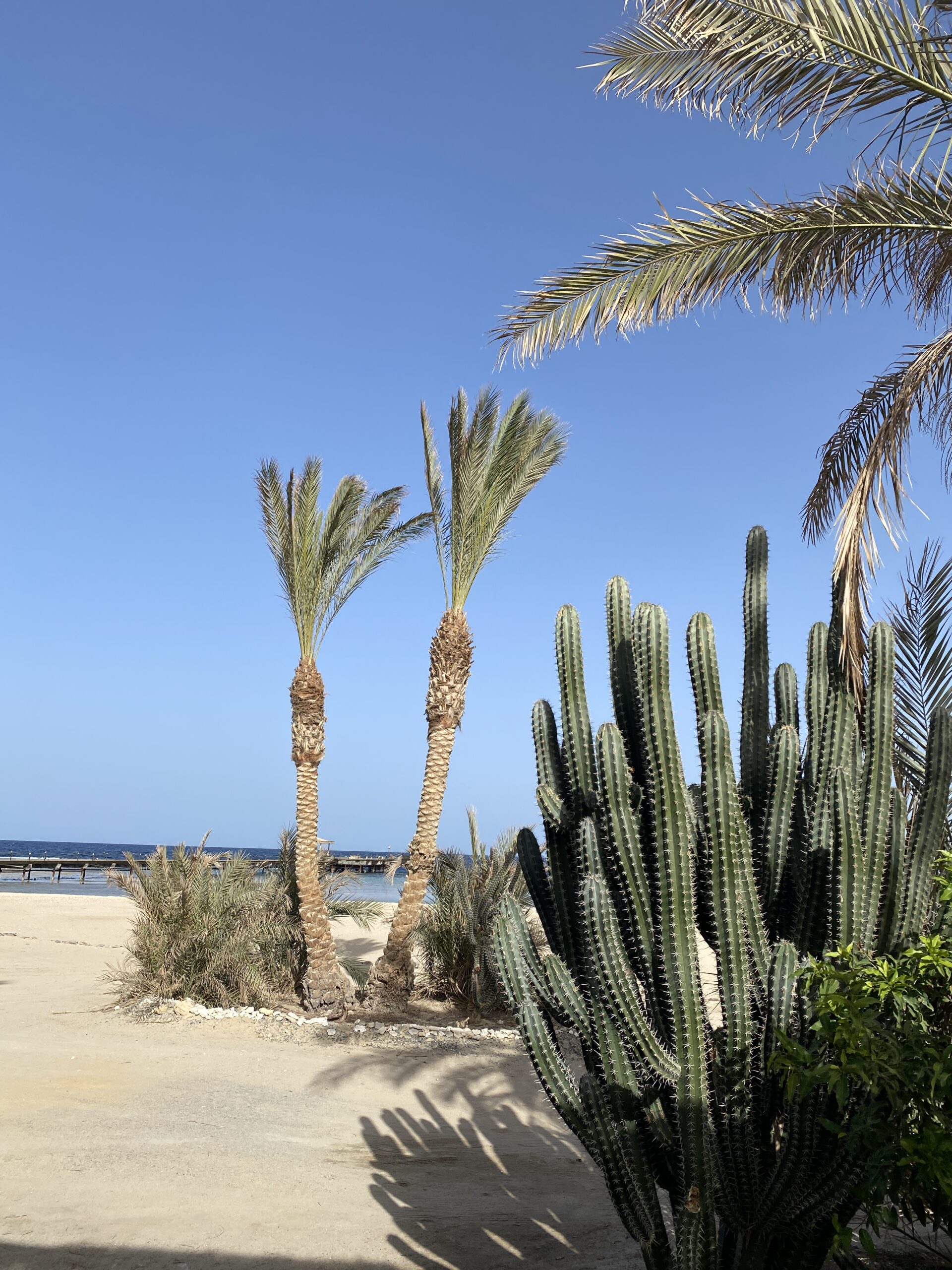 Marsa Alam Coast